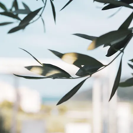 Giorgio Κατάλυμα σε φάρμα